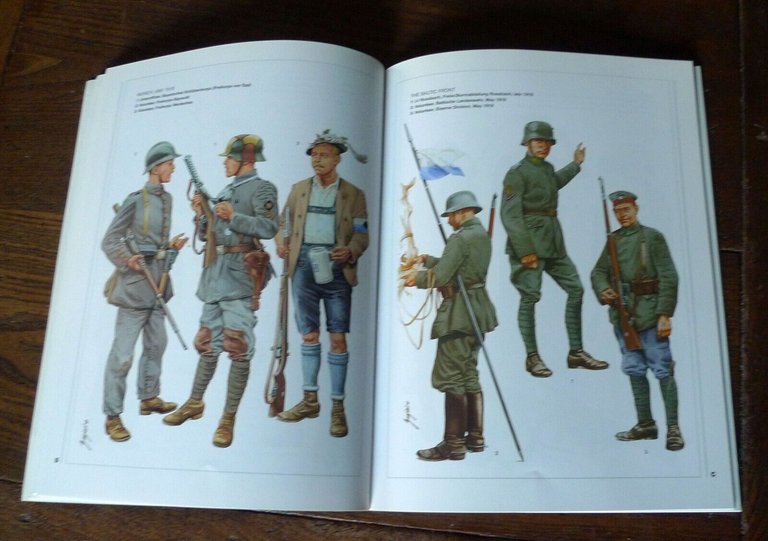 THE GERMAN FREIKORPS 1918-23,Osprey 2001/DIE BURGUNDERKRIEGE,2017,HEERE & WAFENN