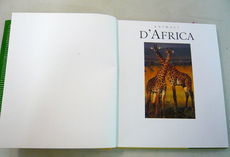 Thomas B.Allen,ANIMALI D’AFRICA,1999 Könemann[fotografia