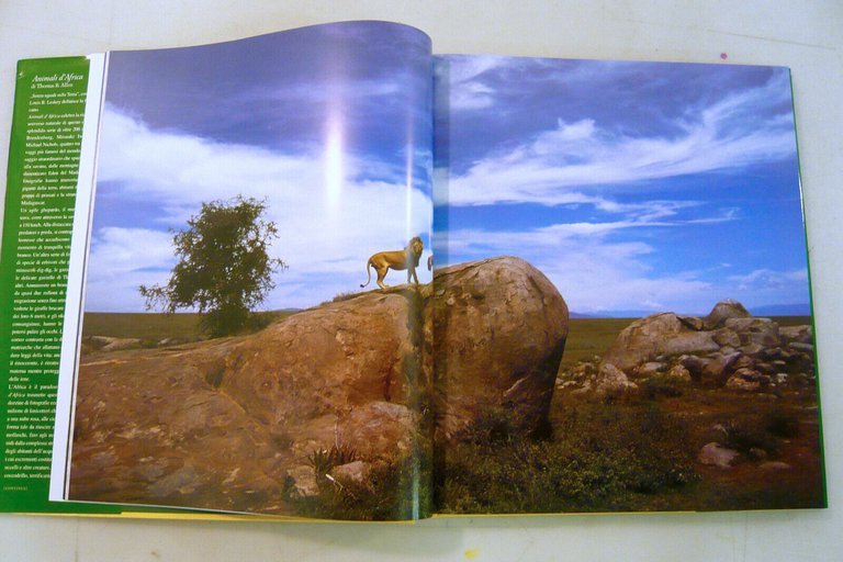 Thomas B.Allen,ANIMALI D’AFRICA,1999 Könemann[fotografia