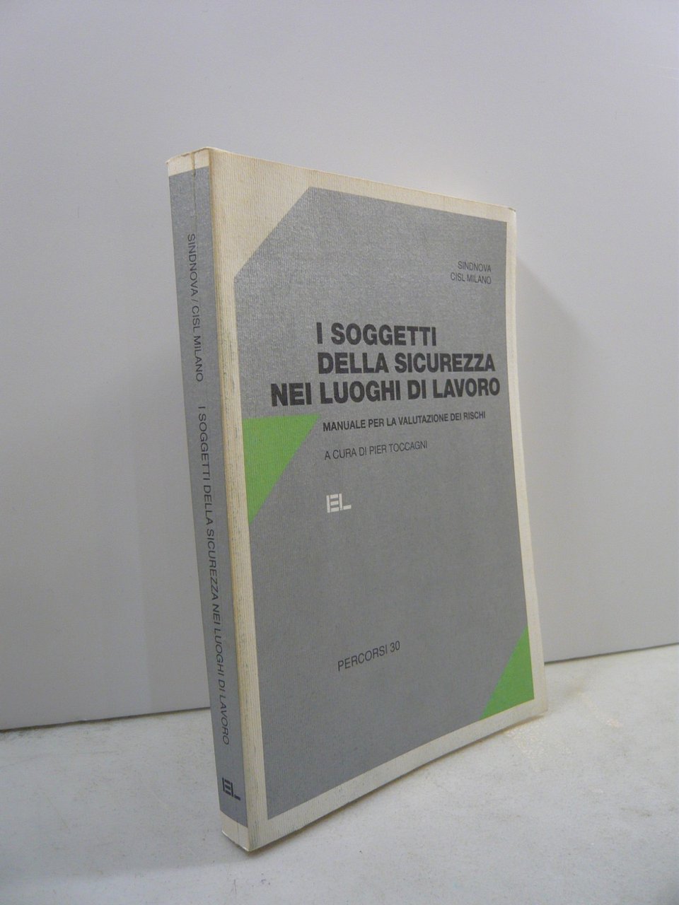 Toccagni,I SOGGETTI DELLA SICUREZZA NEI LUOGHI DI LAVORO,1997[rischi