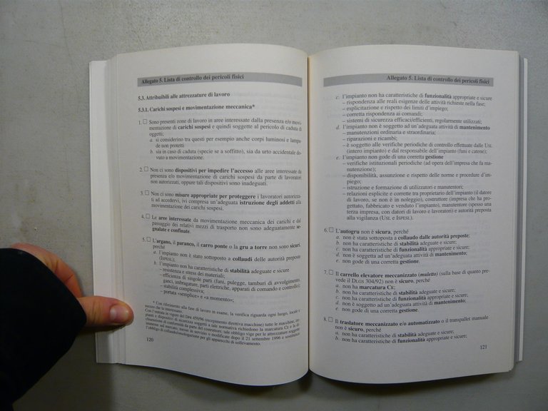 Toccagni,I SOGGETTI DELLA SICUREZZA NEI LUOGHI DI LAVORO,1997[rischi