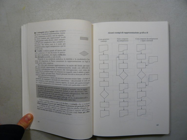 Toccagni,I SOGGETTI DELLA SICUREZZA NEI LUOGHI DI LAVORO,1997[rischi