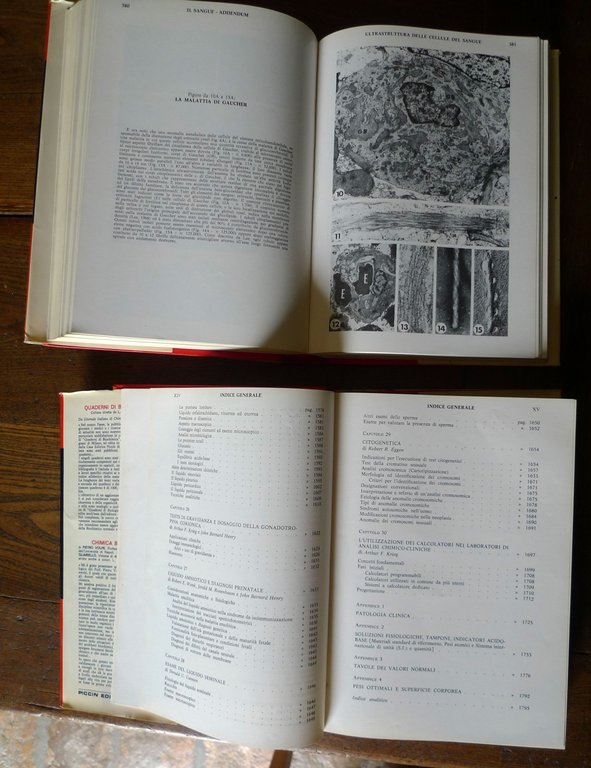 TODD-SANFORD,DIAGNOSI CLINICA DI LABORATORIO,1978 Piccin[manuale,MEDICINA