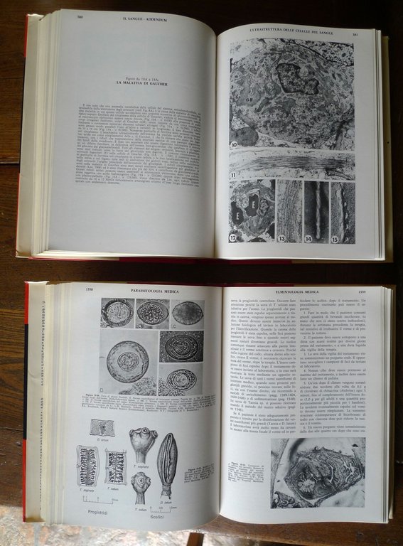 TODD-SANFORD,DIAGNOSI CLINICA DI LABORATORIO,1978 Piccin[manuale,MEDICINA