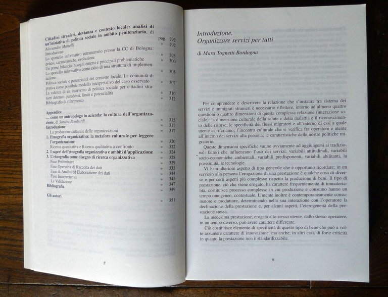 Tognetti Bordogna,IL COLORI DEL WELFARE,2004 FrancoAngeli[servizi alla persona