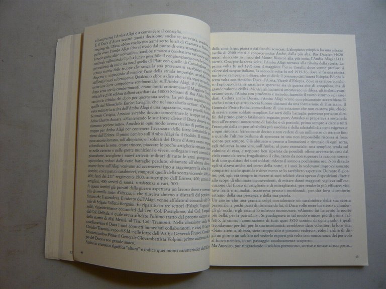 Torre,AMEDEO DI SAVOIA,Bologna