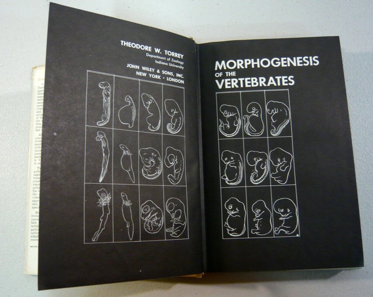 Torrey,MORPHOGENESIS OF THE VERTEBRATES,1966 Wiley[zoologia