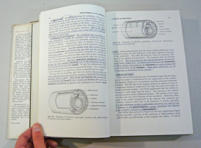 Torrey,MORPHOGENESIS OF THE VERTEBRATES,1966 Wiley[zoologia