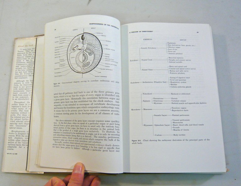 Torrey,MORPHOGENESIS OF THE VERTEBRATES,1966 Wiley[zoologia