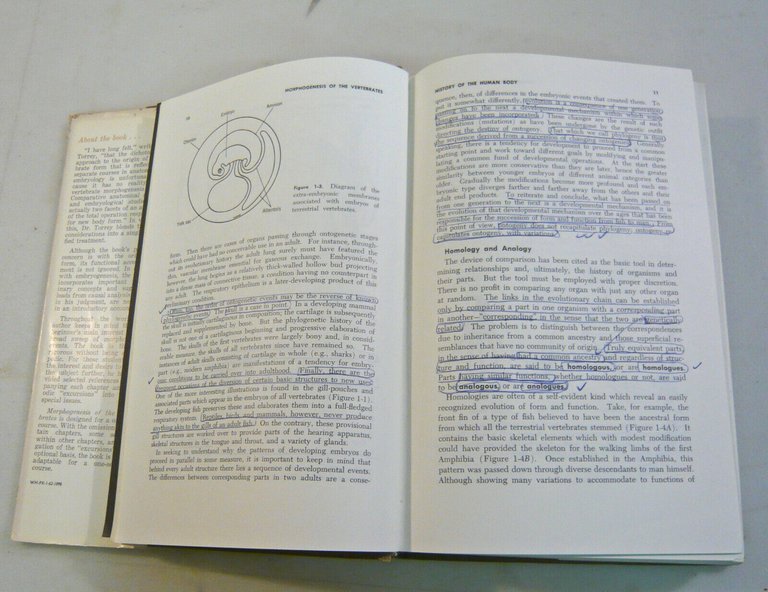 Torrey,MORPHOGENESIS OF THE VERTEBRATES,1966 Wiley[zoologia