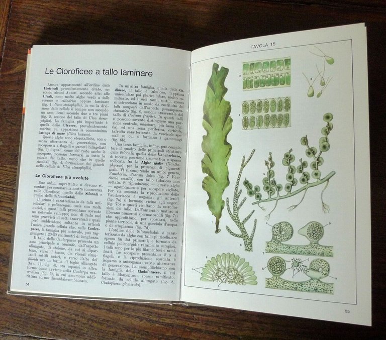 Tosco,ATLANTE DI BOTANICA.2voll. VEGETALI INFERIORI/SUPERIORI,1971 De Agostini