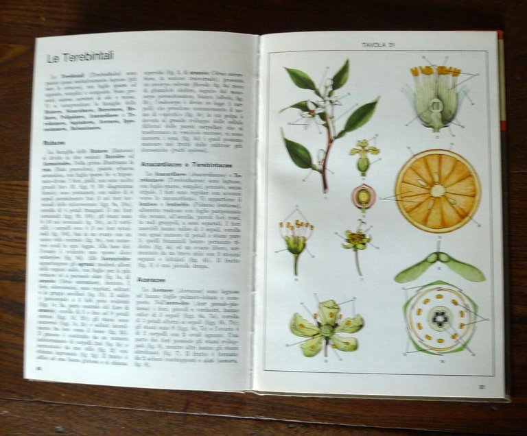 Tosco,ATLANTE DI BOTANICA.2voll. VEGETALI INFERIORI/SUPERIORI,1971 De Agostini