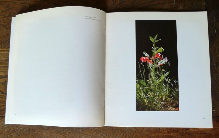 Toshio,LUCIANO VENTRONE.'91 Forni Galleria d'Arte,Bologna[catalogo,contemporanea