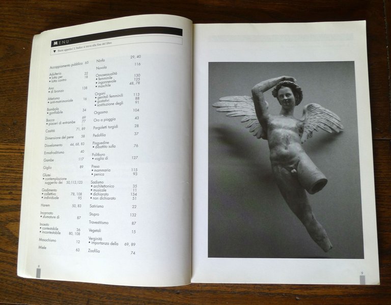 Traimond,GUIDA EROTICA DEL LOUVRE E DEL MUSEO D'ORSAY,2006 Eleuthera[arte