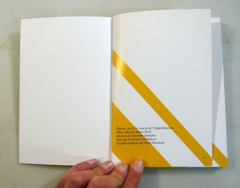 Tringali/Mazzone,SLANCIO,2018 Milieu[arte pubblica,aeroporto Venezia,Biennale