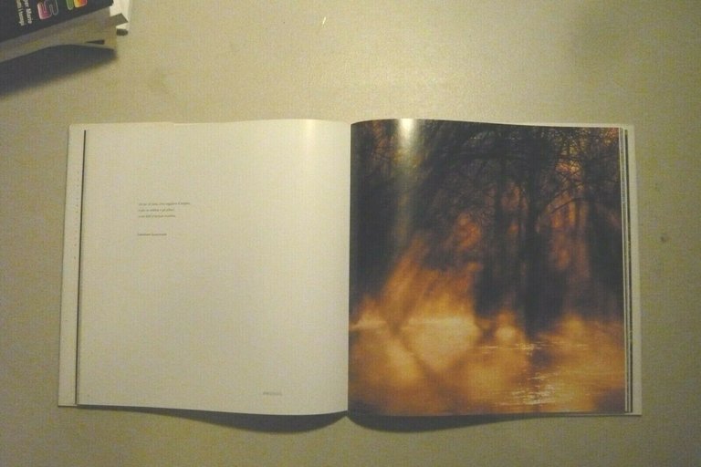 Vaccarella,SOGNI: LE RADICI DELL’ESSERE,Chieti 2010[Maurizio Valentini