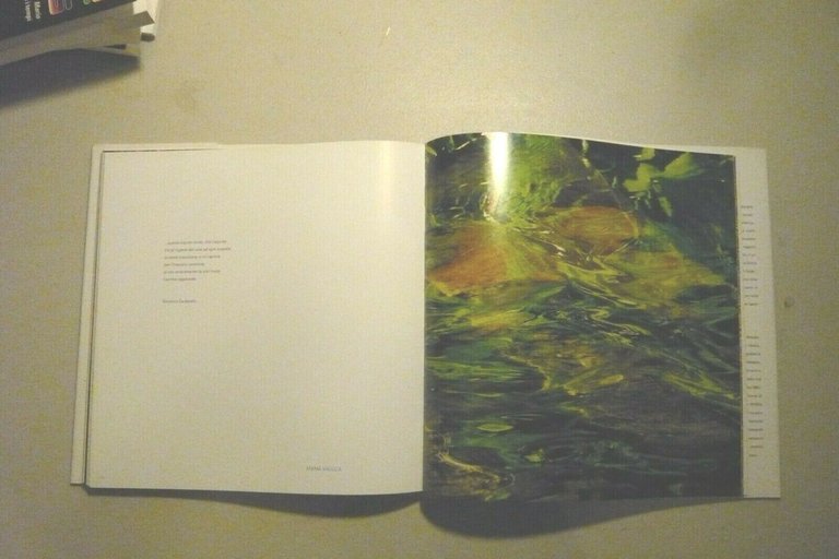 Vaccarella,SOGNI: LE RADICI DELL’ESSERE,Chieti 2010[Maurizio Valentini