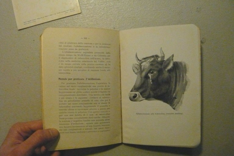 Valenti MANUALE PRATICO DEL VETERINARIO e PROMEMORIA TERAPEUTICO PER VETERINARIA