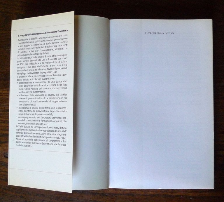 Viale/Fassari,LA RICOLLOCAZIONE DEI LAVORATORI SOCIALMENTE UTILI,Italia Lavoro | Immagine Gallery 3
