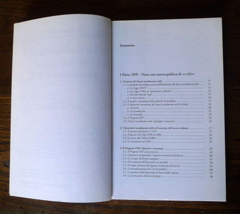 Viale/Fassari,LA RICOLLOCAZIONE DEI LAVORATORI SOCIALMENTE UTILI,Italia Lavoro | Immagine Gallery 5