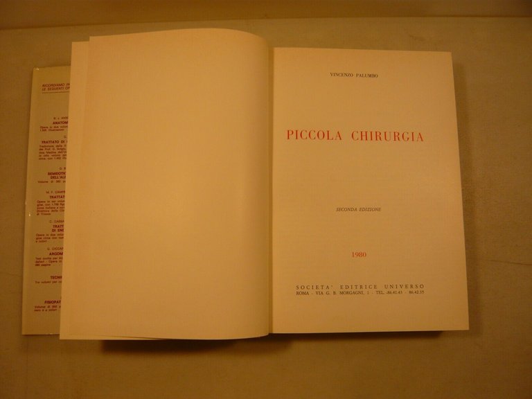 Vincenzo Palumbo, PICCOLA CHIRURGIA, 1980