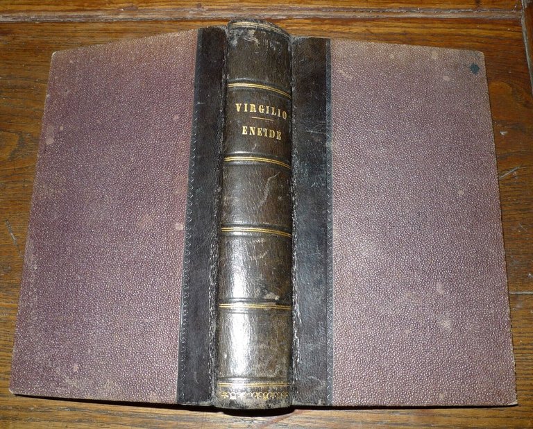 VIRGILIO,ENEIDE TRAVESTITA DI GIO.BATTISTA LALLI,1822 Gaspero Ricci,Firenze