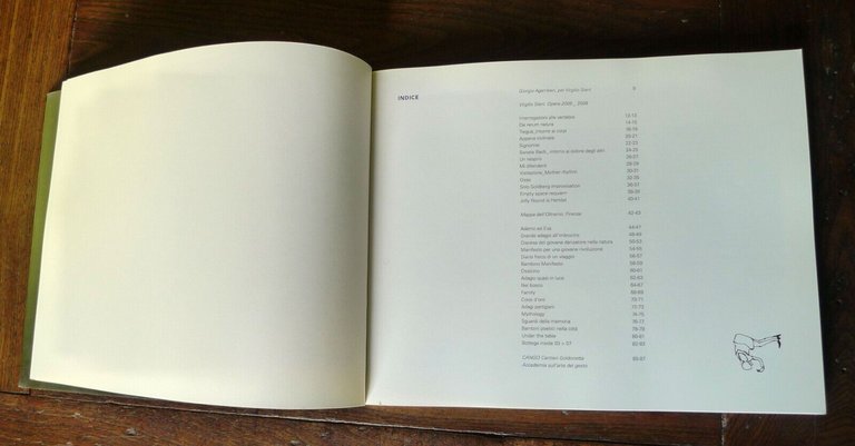 Virgilio Sieni,LA SOSPENSIONE DEL GESTO.Opere 2005_2008,Maschietto[DANZA