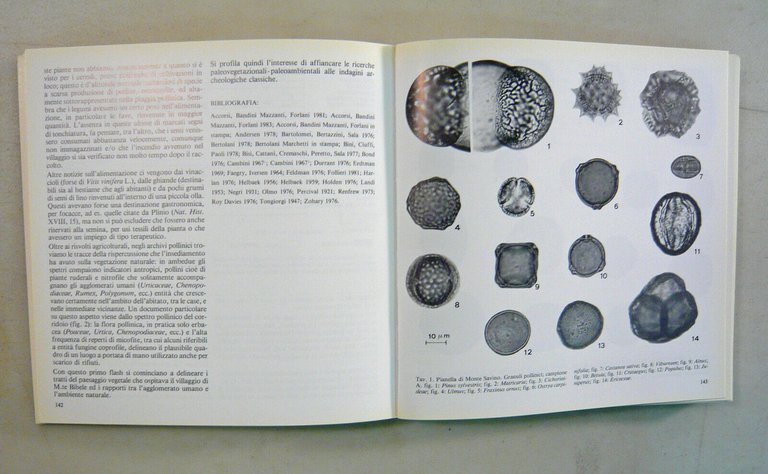 Vitali,MONTERENZIO E LA VALLE DELL’IDICE,1990[catalogo mostra,ARCHEOLOGIA,STORIA