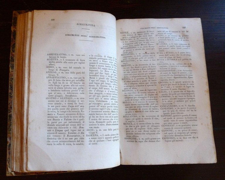 VOCABOLARIO DOMESTICO COMPILATO DA GIANFRANCESCO RAMBELLI,1850 Tiocchi,Bologna