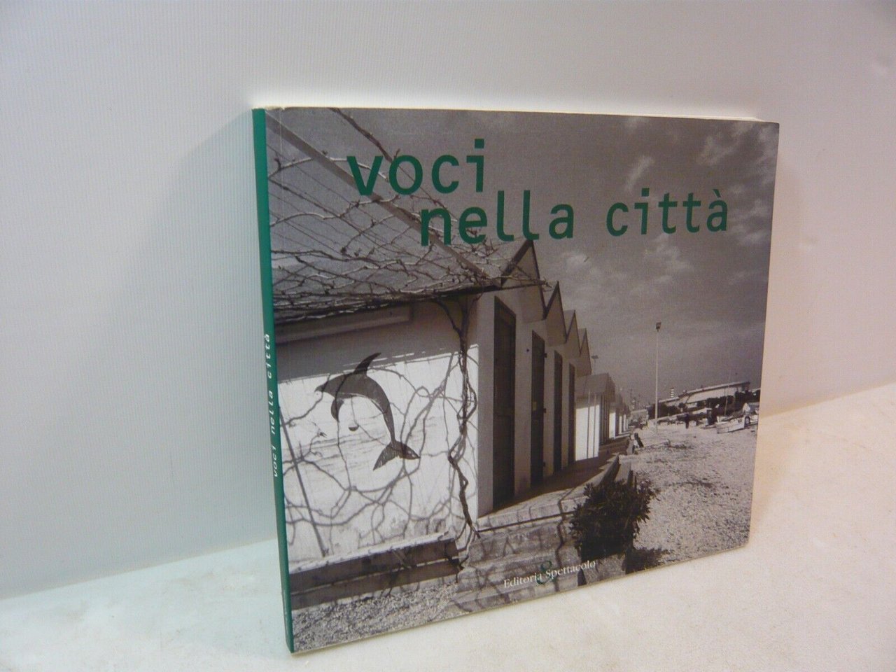 VOCI NELLA CITTA’,Editoria e spettacolo,2005[Falconara Marittima,Ferracuti