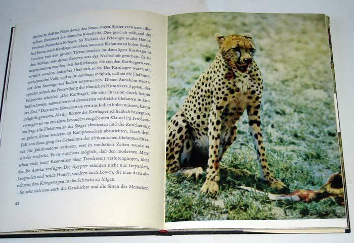 Walt Disney,AFRIKANISCHE LÖWEN,Schweizer 1958[animali africani,leoni