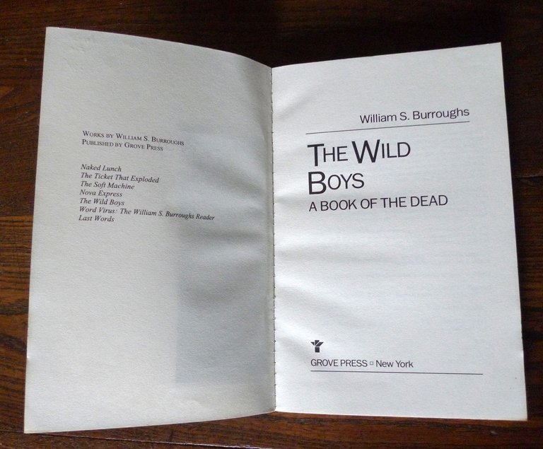 William S.Burroughs,THE WILD BOYS.A BOOK OF THE DEAD,1992 Grove Press