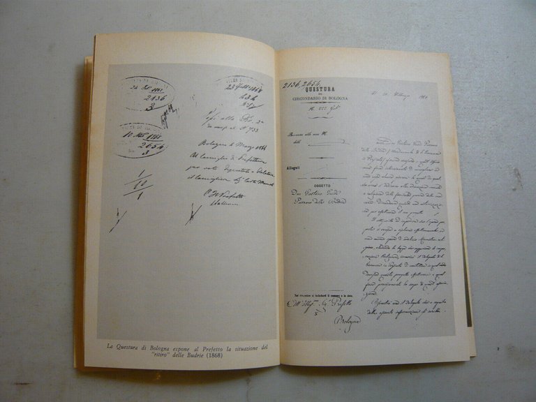 Zappulli,LA FORZA DEL BENE,Bologna[biografia