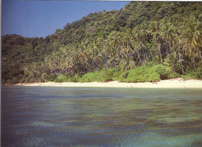 Zurlino,MALAYSIA,Zanfi 1991[guida,GUIDE APA,viaggio,Kuala Lumpur,Malesia