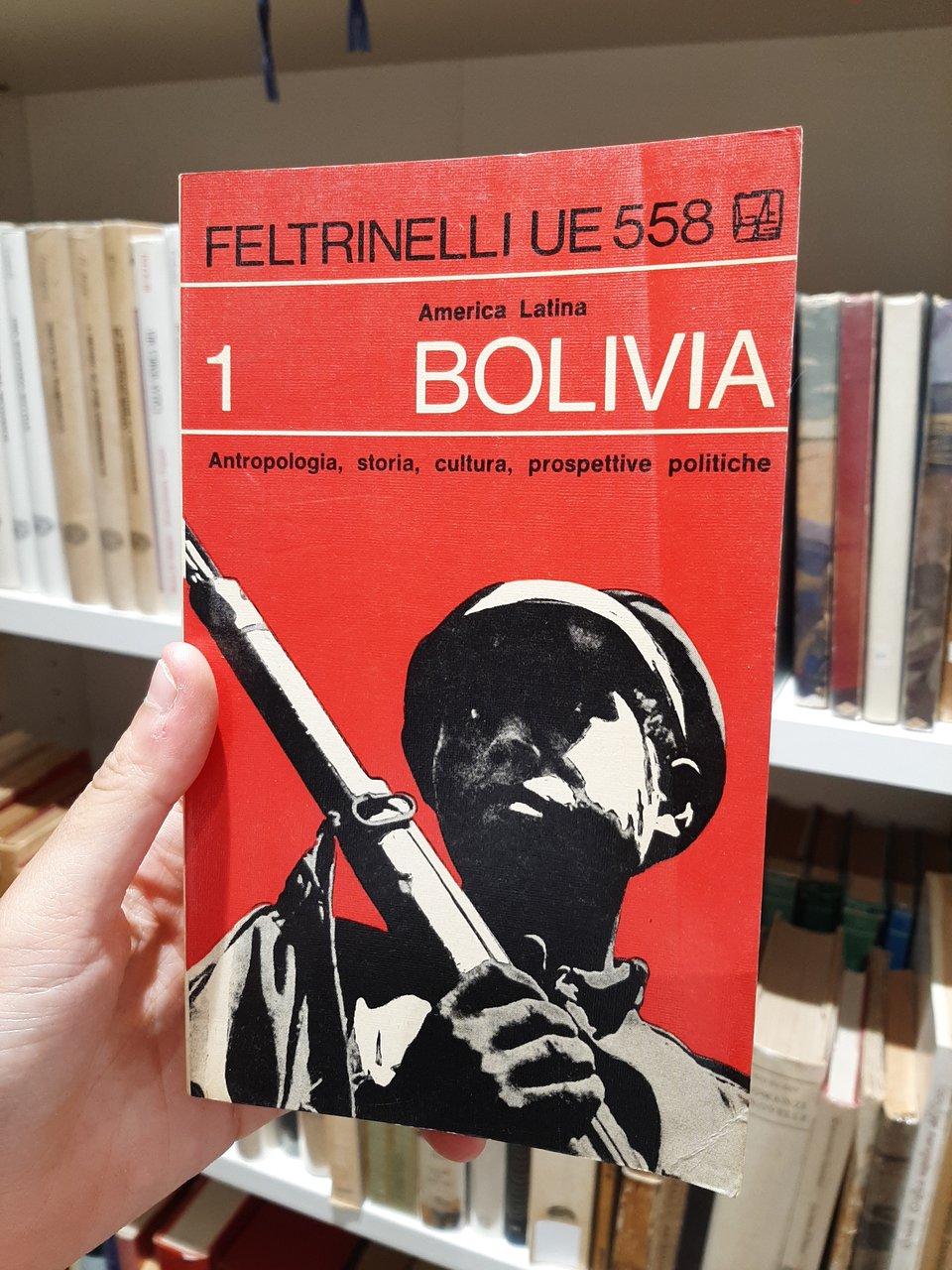 Bolivia - Antropologia, storia, cultura, prospettive politiche