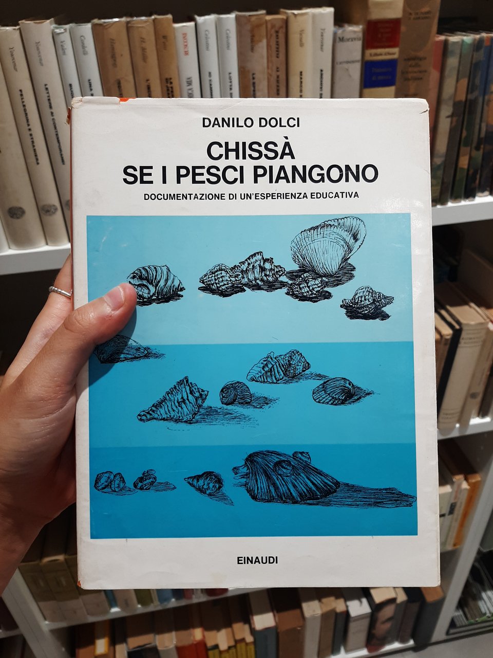 Chissà se i pesci piangono