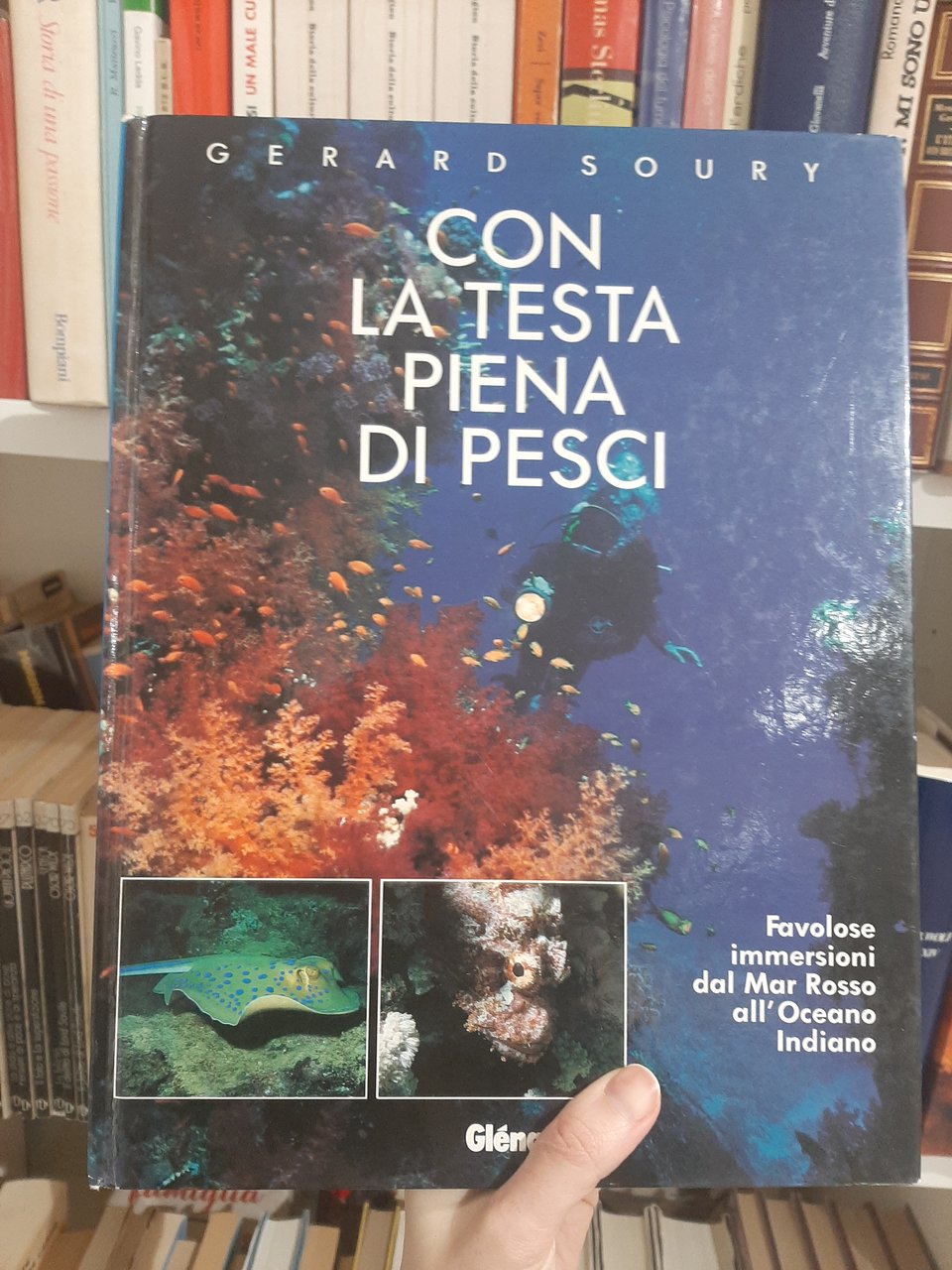 Con la testa piena di pesci