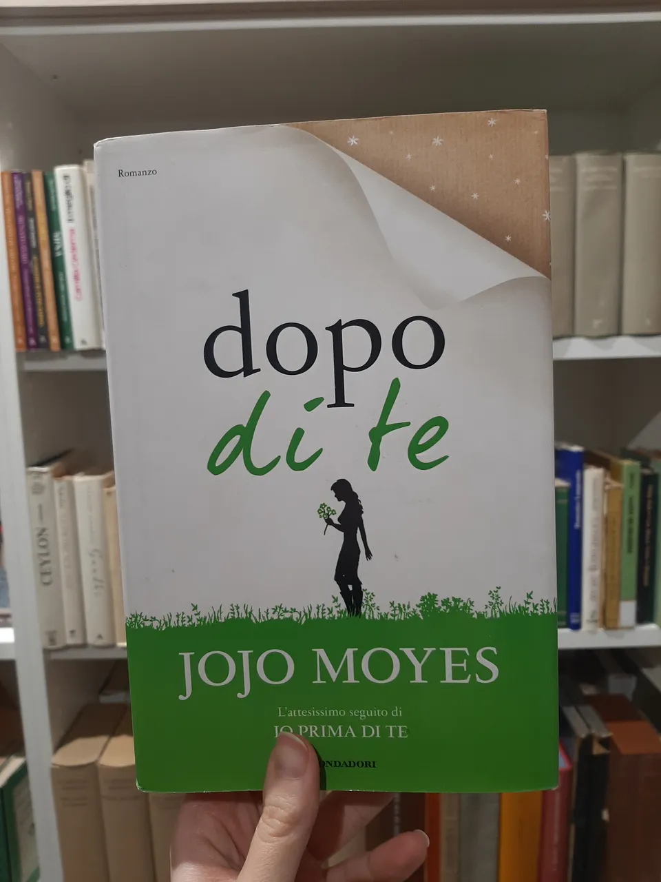 Dopo di te | Immagine principale