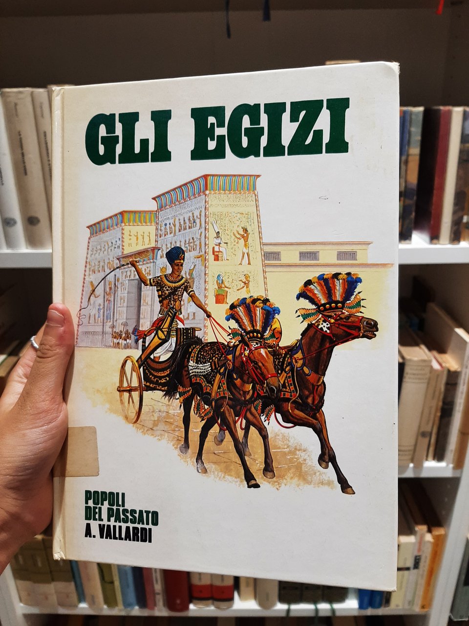 Gli Egizi - Popoli del passato