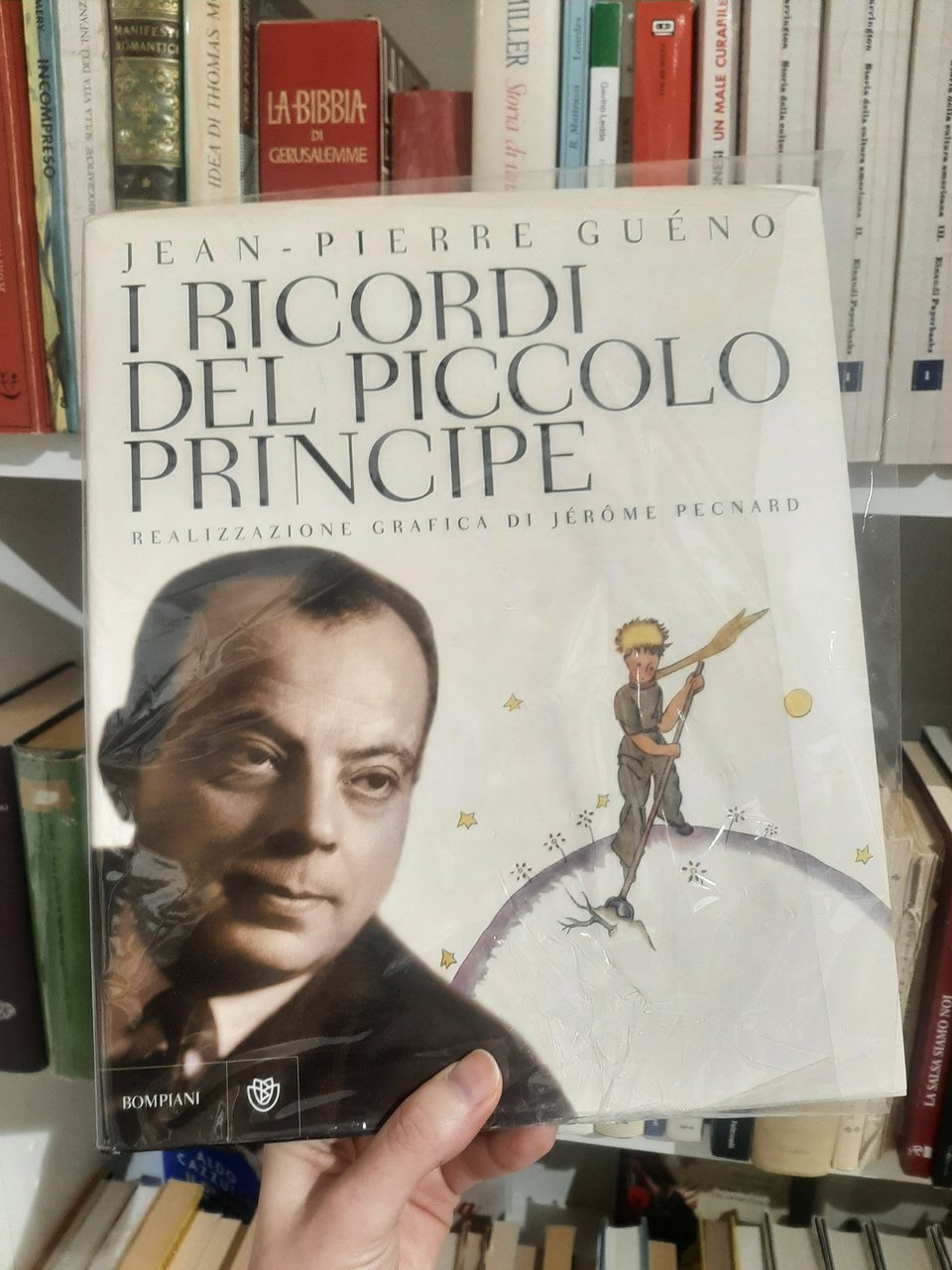 I ricordi del piccolo principe