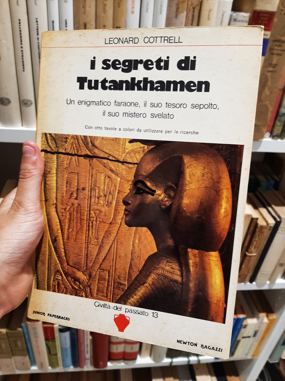 I segreti di Tutankhamen