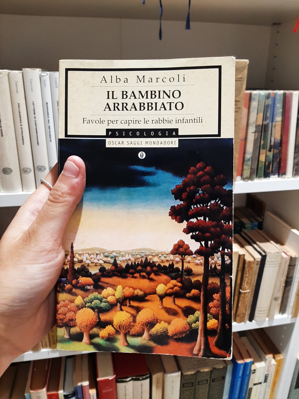 Il bambino arrabbiato. Favole per capire le rabbie infantili.