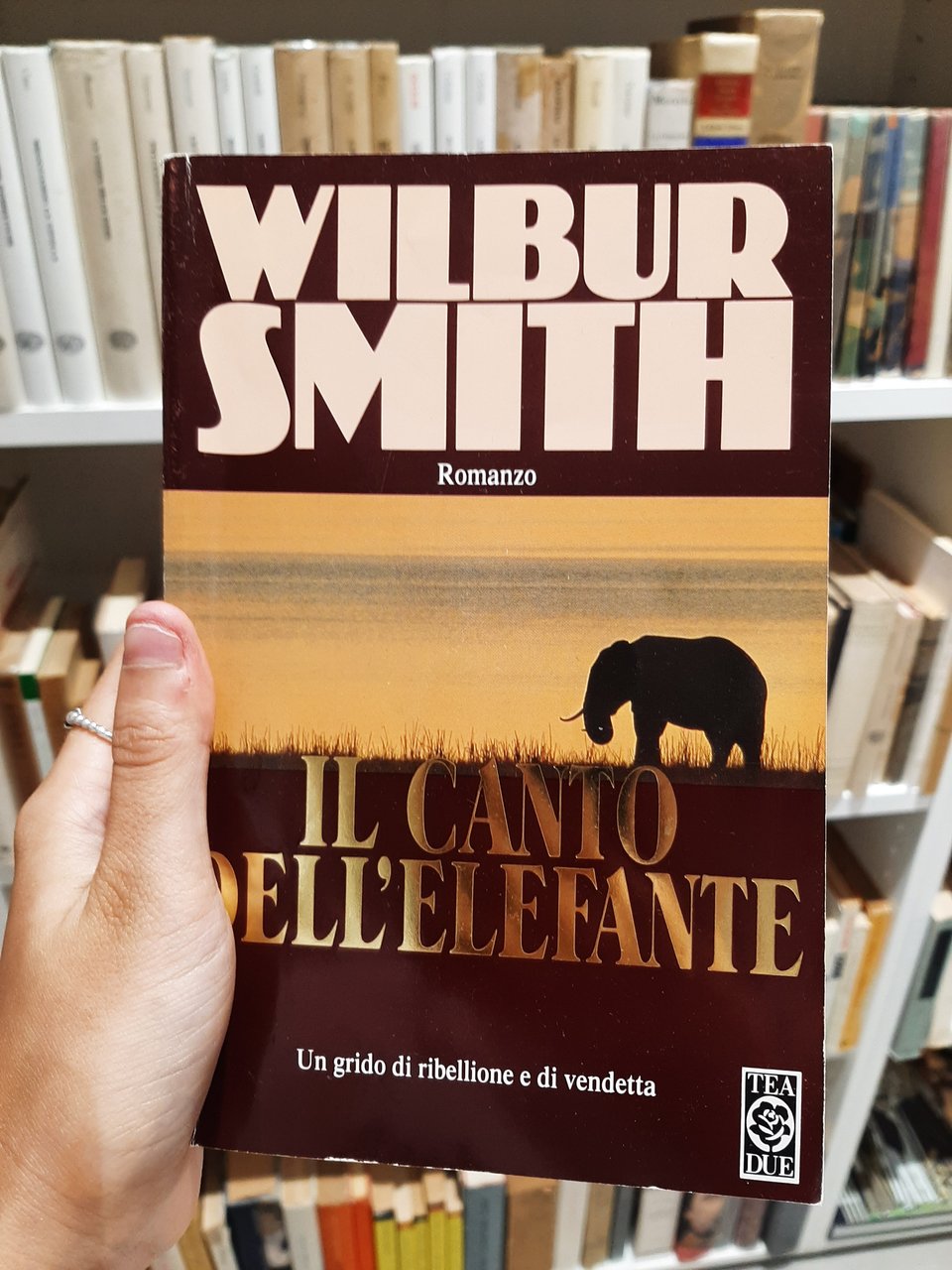 Il canto dell'elefante