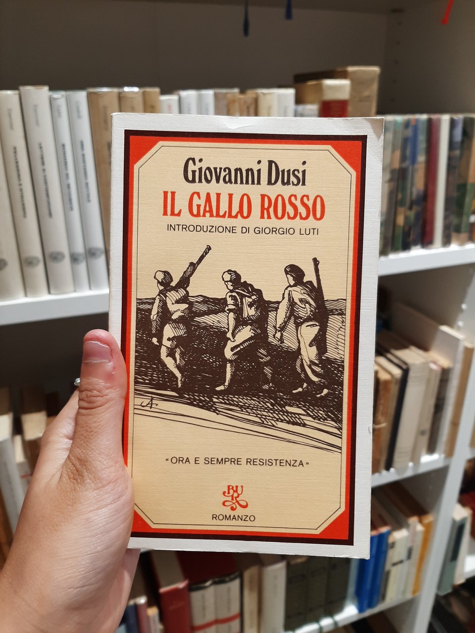 Il gallo rosso