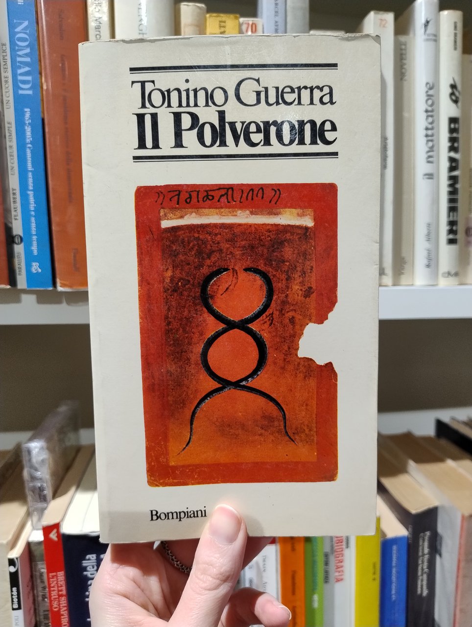 Il polverone