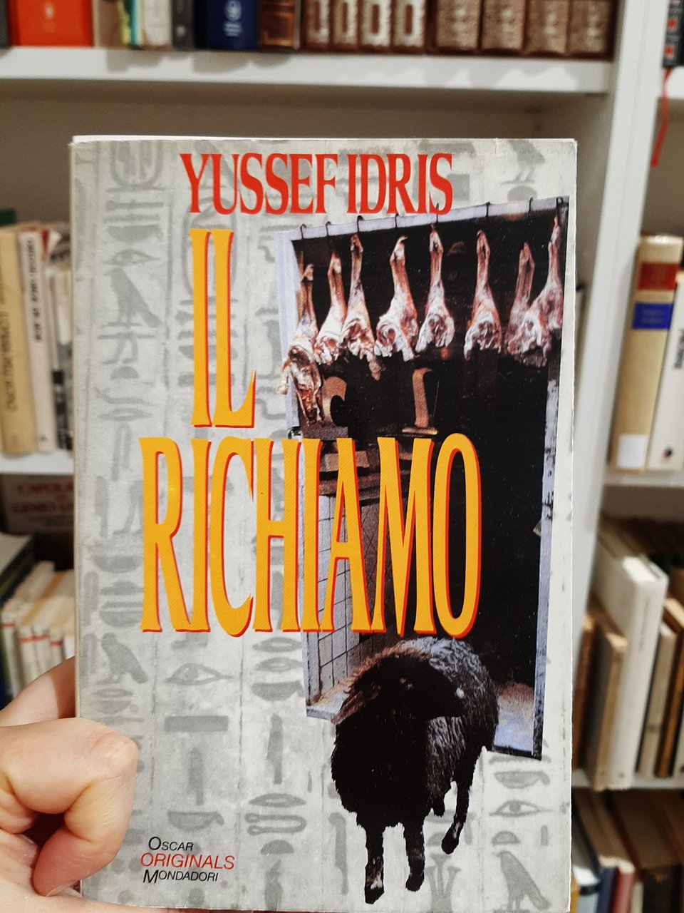 Il richiamo