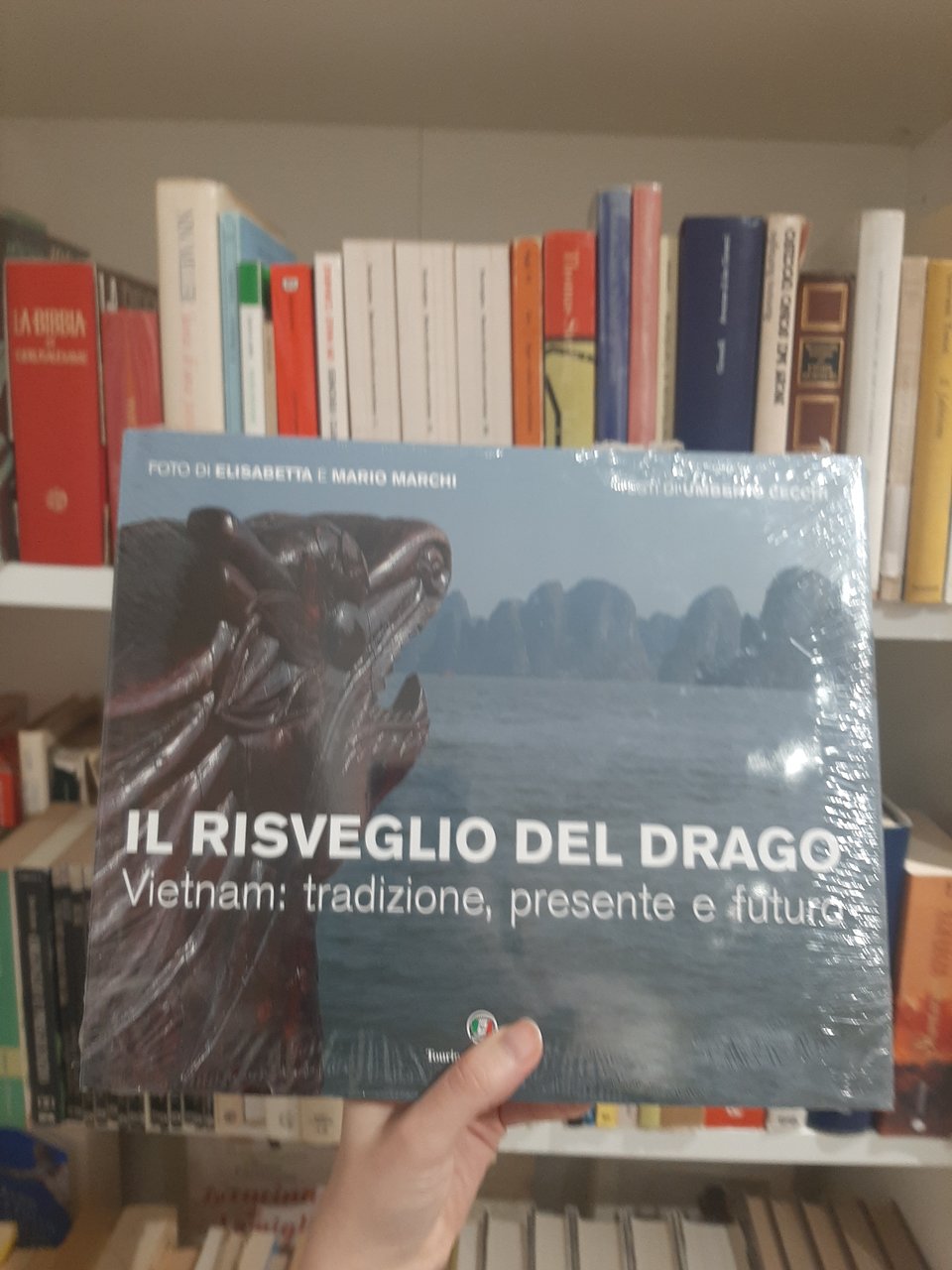 Il Risveglio del Drago: Vietnam, tradizione, presente e futuro