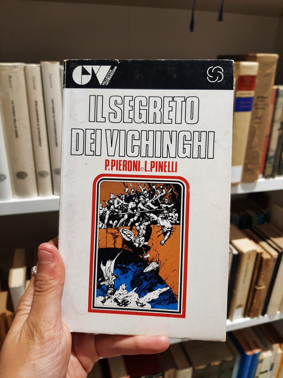 Il segreto dei Vichinghi