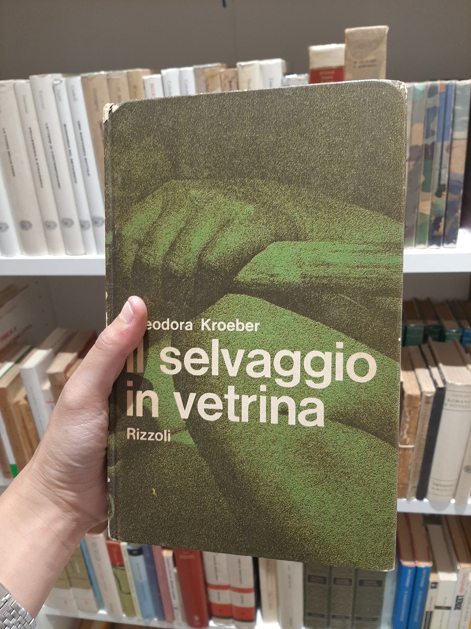 Il selvaggio in vetrina