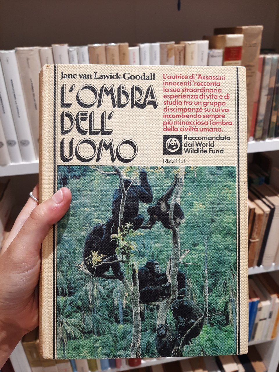 L'ombra dell'uomo